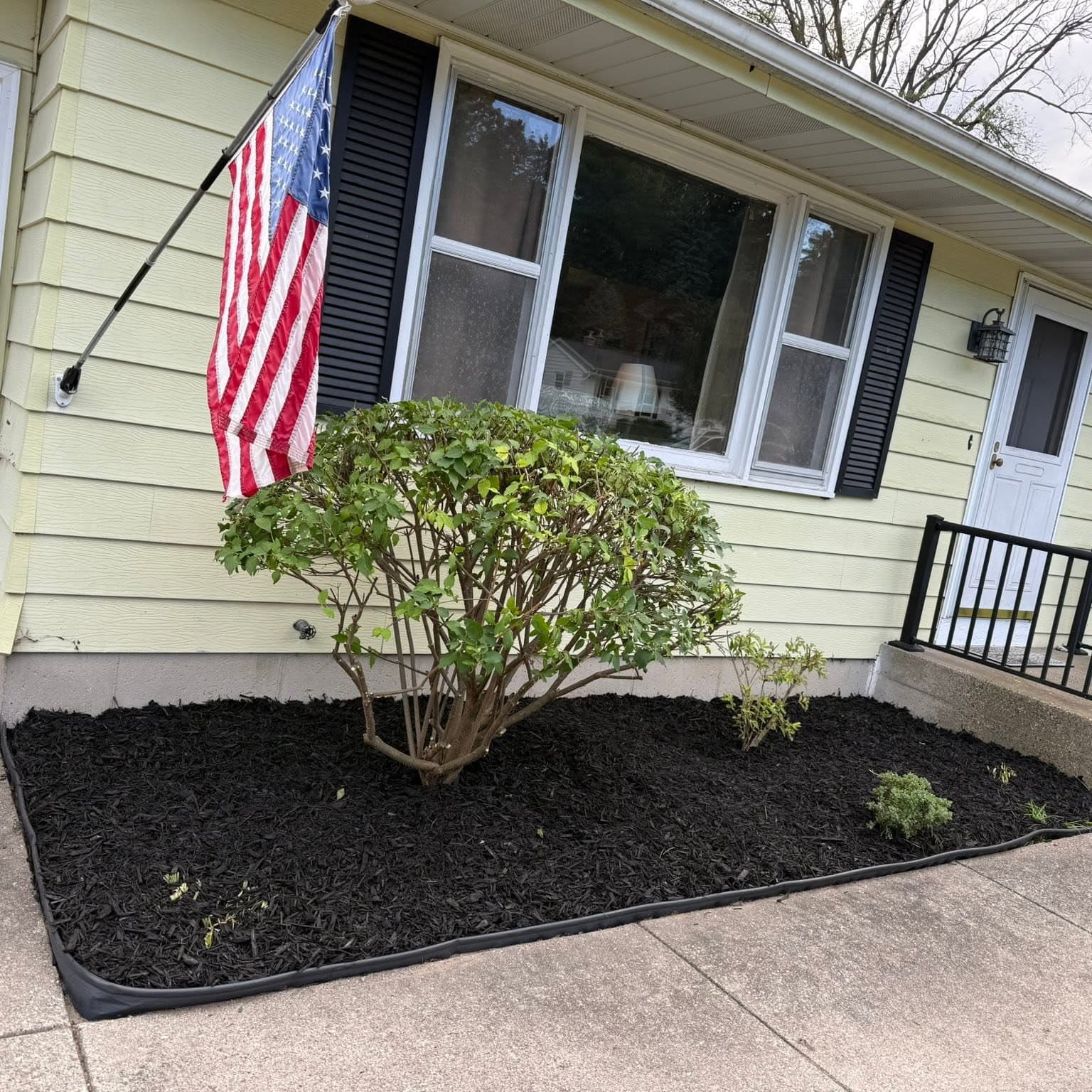 Finished front bed with shrubs and mulch