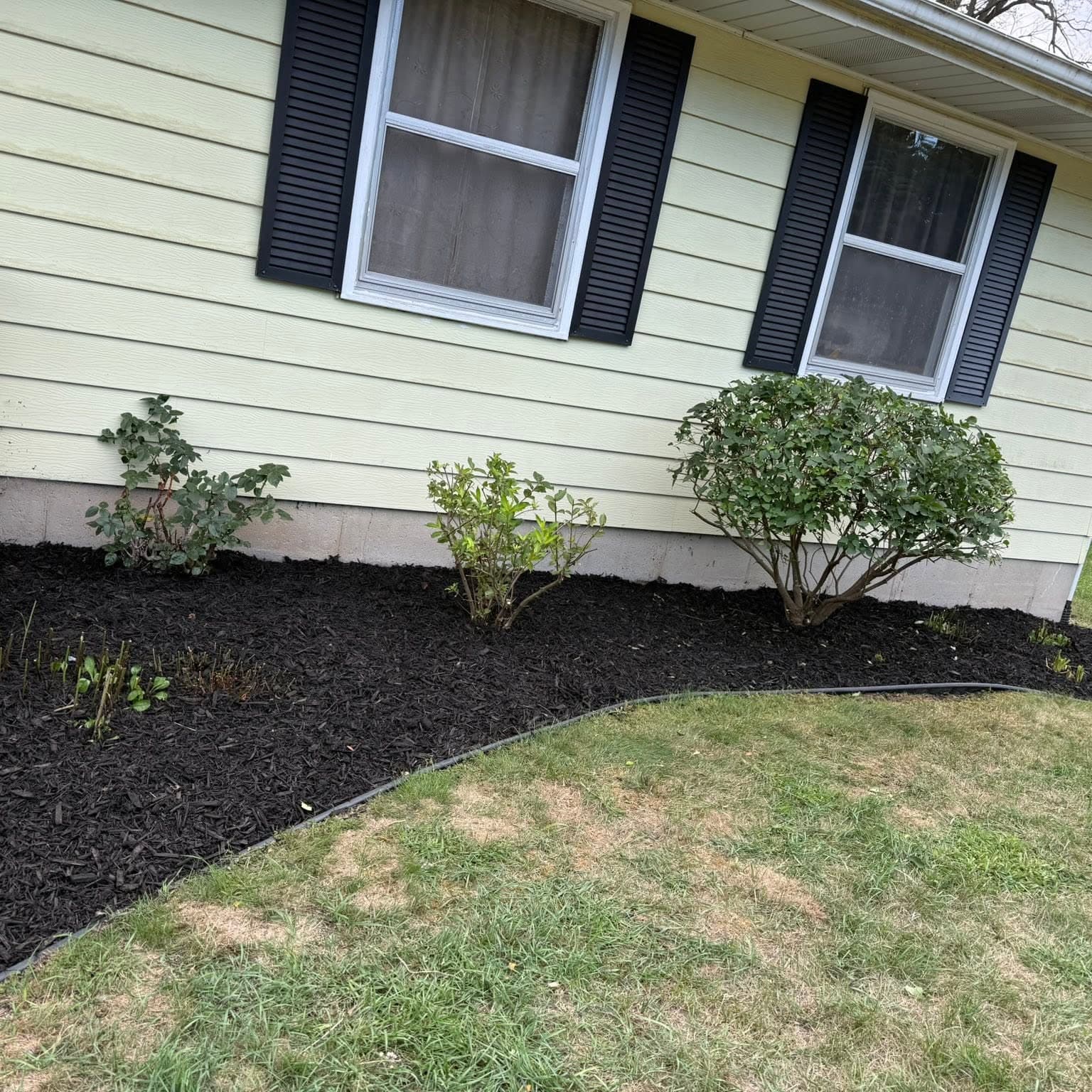 Dark mulch bed with new edging along a cream-colored house